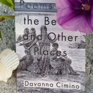 photo of poetry collection Poems from he Beach and other Places
