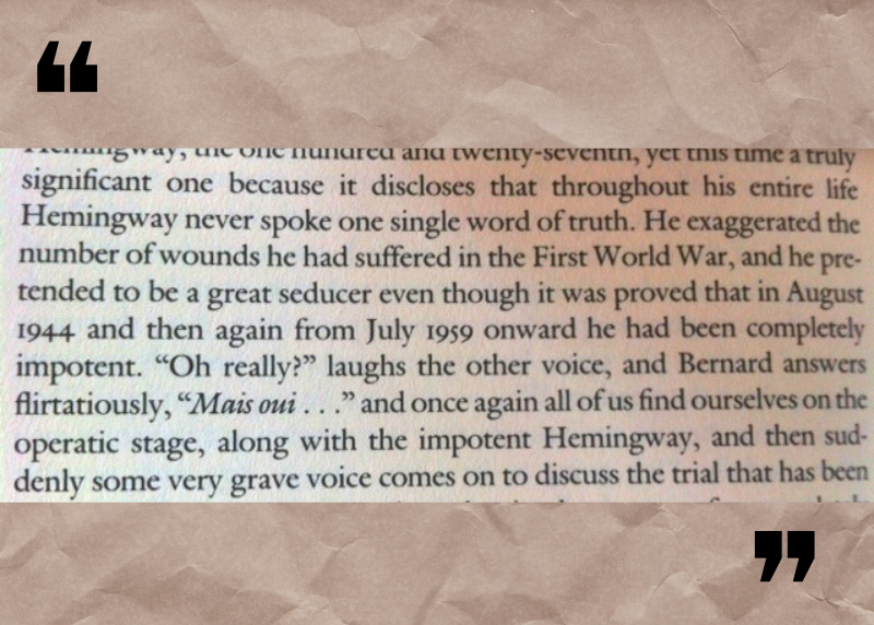 graphic with a quote from Milan Kundera's book, Immortality