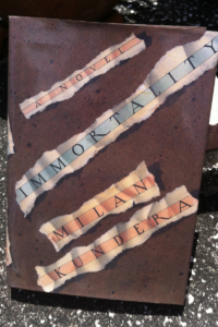 photo of a hardcover copy of Milan Kundera's book, Immortality